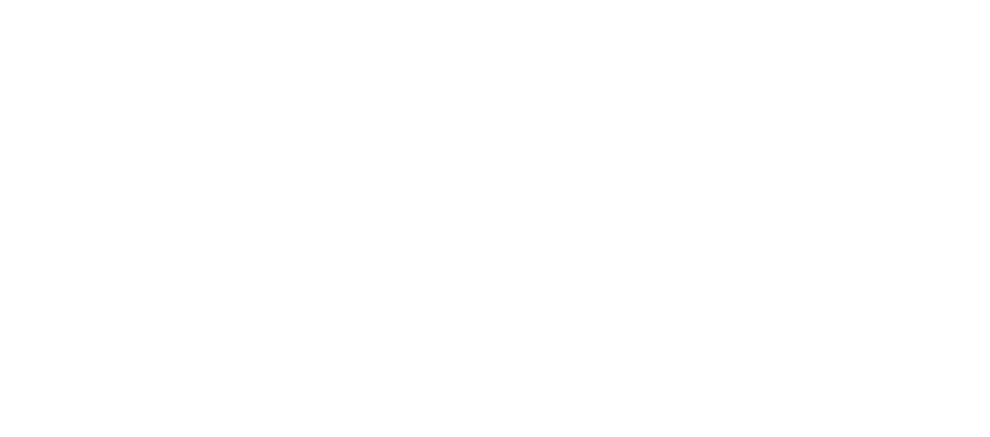Media Maesters